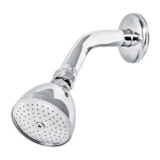 Regadera cónica 2-1/2" brazo y chapetón de acero, Foset 49448